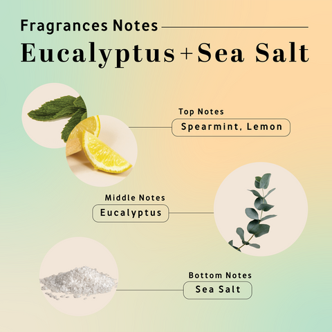 Eucalyptus Sea Salt - 8oz Candle