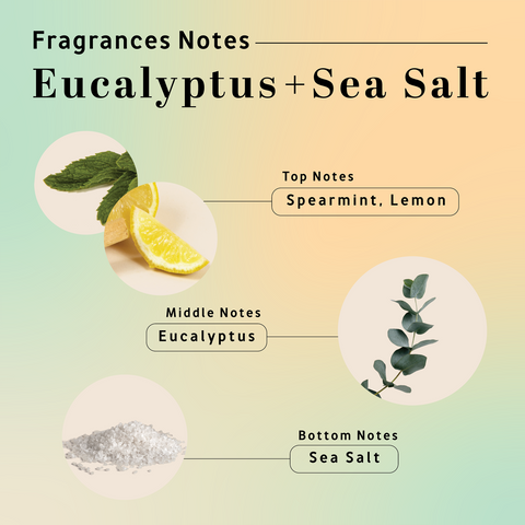 Eucalyptus Sea Salt - 12oz Candle
